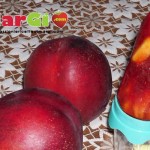 Ghiaccioli alla frutta fatti in casa con succo di amarena e pesca