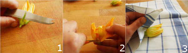 ricette fiori di zucca